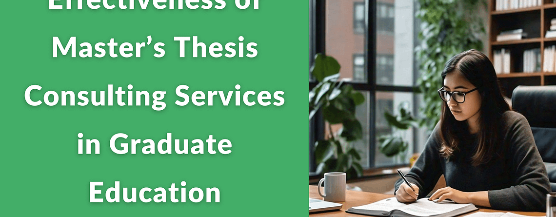 Master’s thesis consulting services