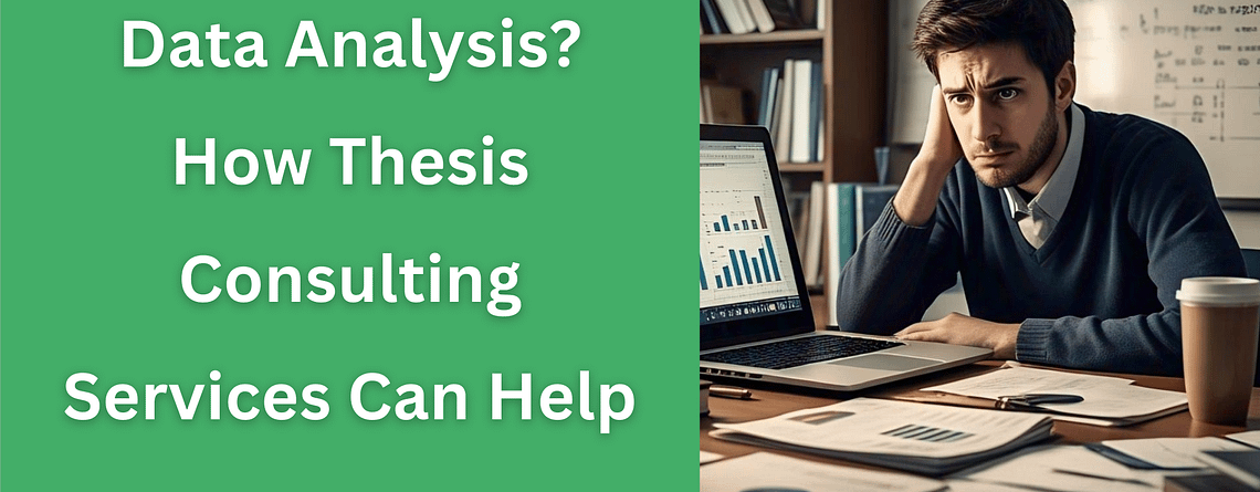 Thesis Consulting Services