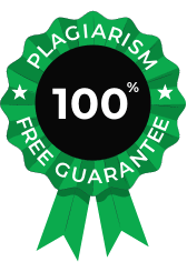 Plagiarism Free Guarantee
