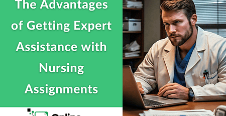 nursing assignment help