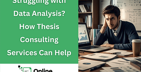 Thesis Consulting Services