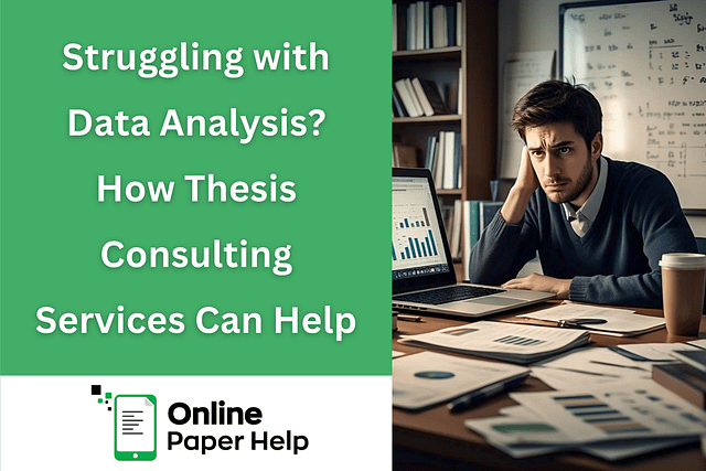 Thesis Consulting Services